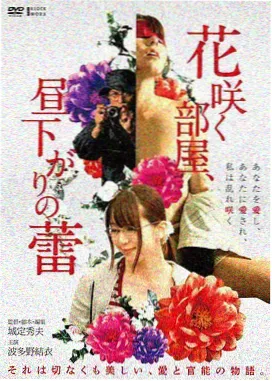 家庭伦理题材样本画面
